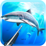 水下狩猎最新版(Spearfishing 3D) 1.35手机版