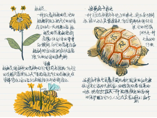 paper绘画软件安卓版使用说明5