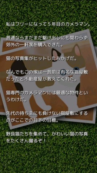 可爱猫咪满满