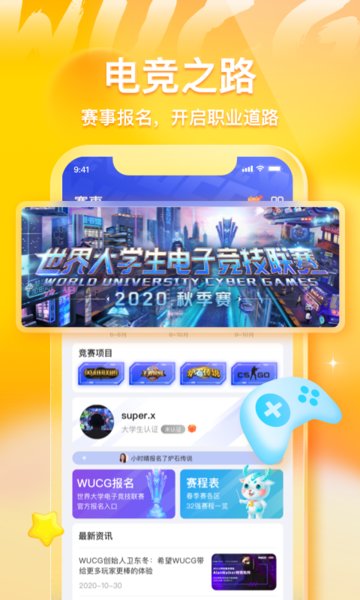 不鸽软件