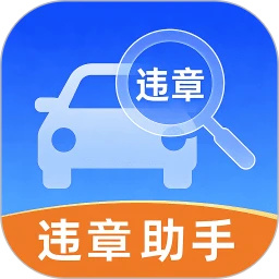 交通违章缴纳记录