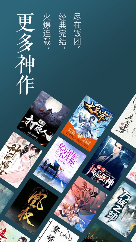饭团追书苹果版
