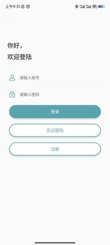 灰鸽子