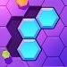 六边形拼图大师(Hexa Guru)