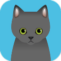 可爱猫咪满满
