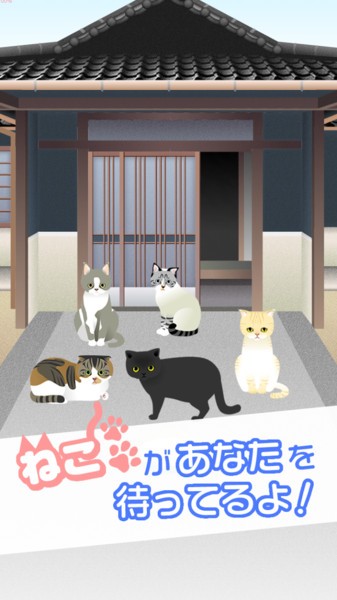 可爱猫咪满满