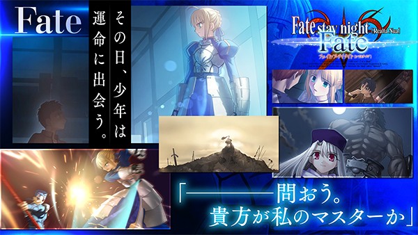 fate stay night国际版