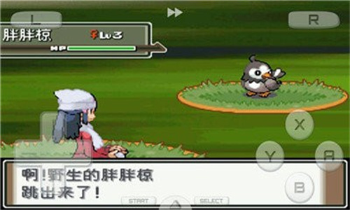口袋妖怪白金离线版