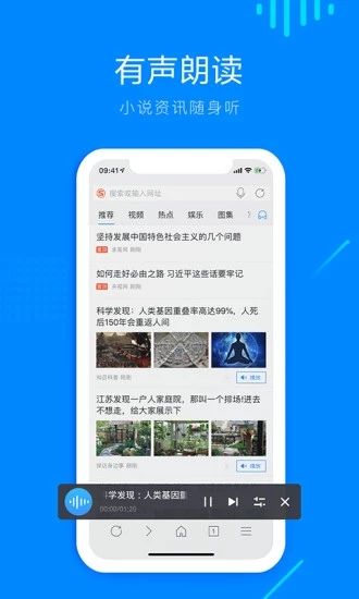 safari浏览器ios自定义版