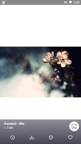 Wallpapers