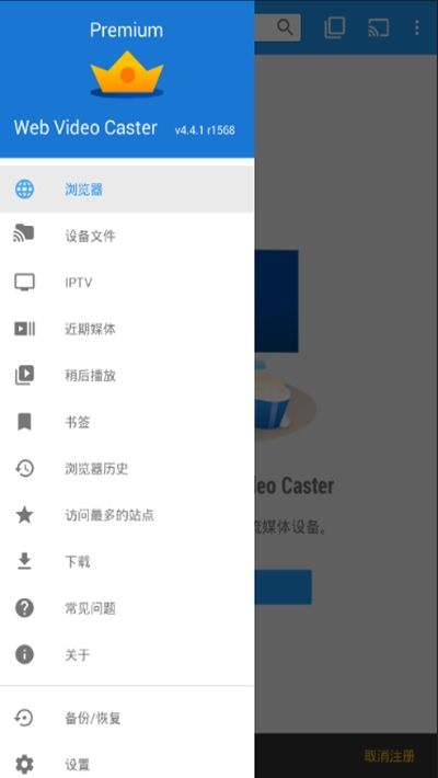 WebVideoCaster