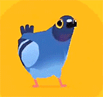 pigeon中文版