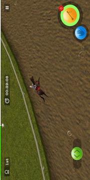 Derby Horse Quest