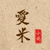 爱米小说免费版