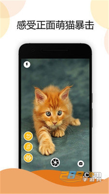 猫咪相机app官方版v1.0