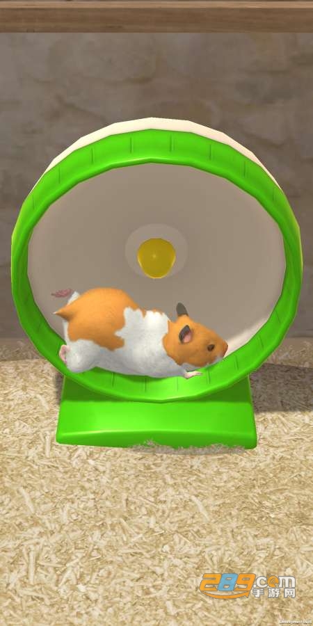 hammyhome仓鼠游戏最新版v5.0.12中文版