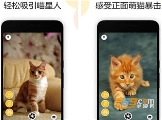 猫咪相机app官方版