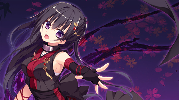 忍者少女与都市妖团完整版