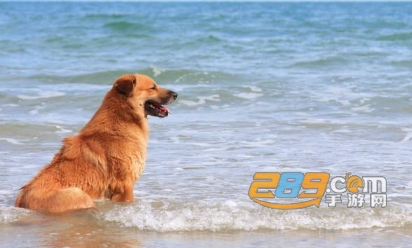 浪花旅行约会软件下载app最新版