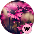 Spring wallpapers春季壁纸app手机免费版v3.4.2最新版