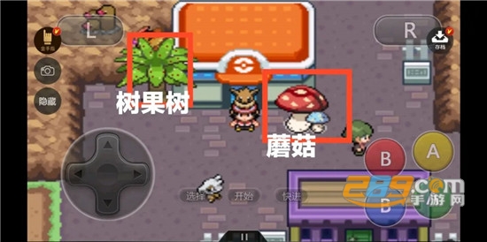 口袋妖怪去吧伊布3.0汉化最新免费版v5.0安卓版