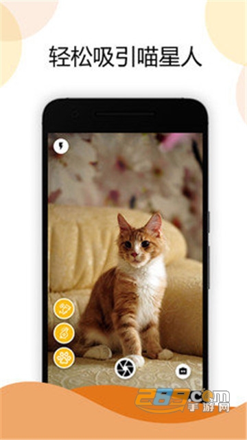 猫咪相机app官方版v1.0