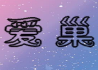 爱巢完结无心码单机版