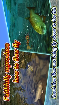 FlyFishing安卓版