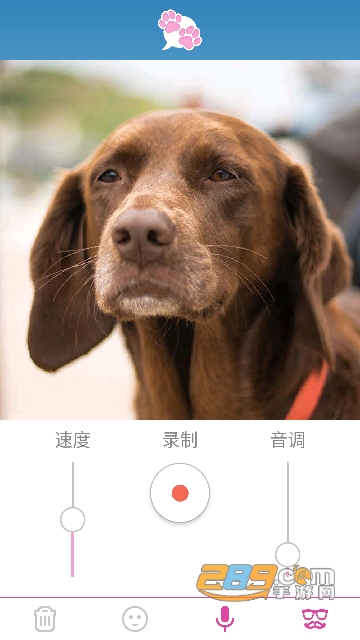 我的宠物会说话app下载中文版2023最新版v2.3.008安卓版