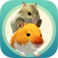 hammyhome仓鼠游戏最新版v5.0.12中文版