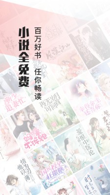 畅阅小说苹果版
