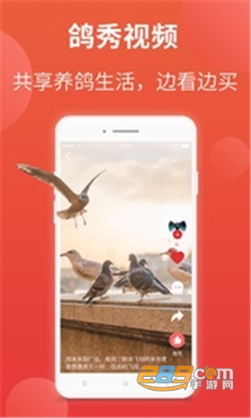 搜鸽天下查信鸽成绩app2024最新版v2.2.1.16安卓最新版