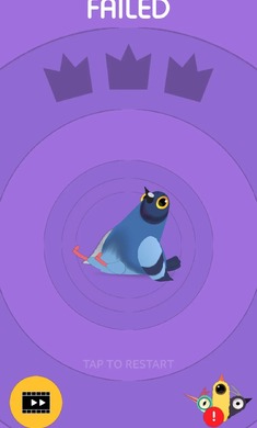 pigeon中文版