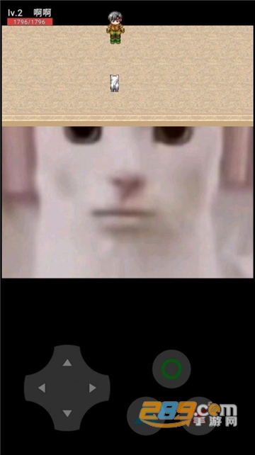 202315113925542640.jpg