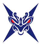 霸耀电竞游戏平台v3.0.7安卓版