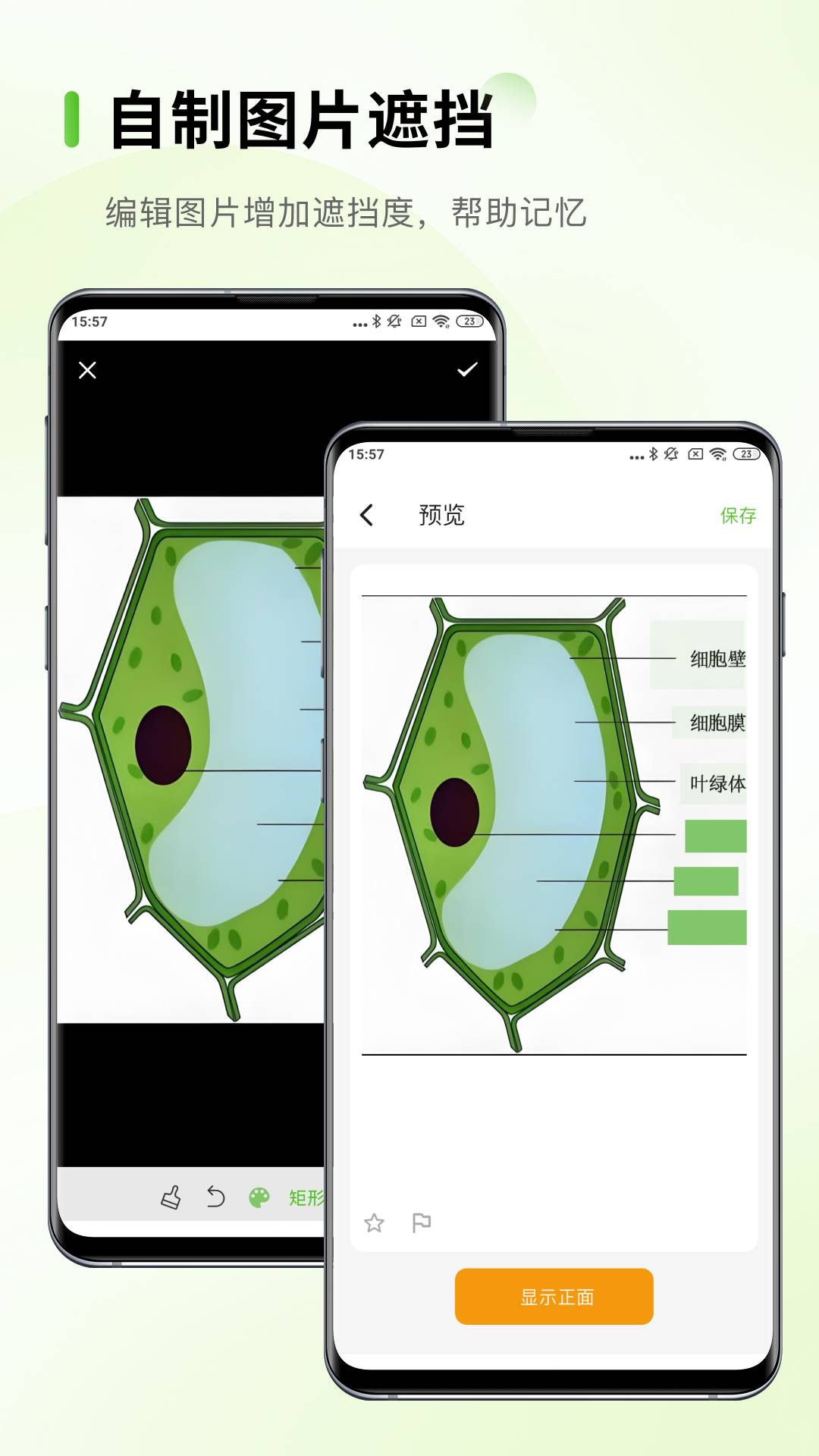 Anymo苹果版