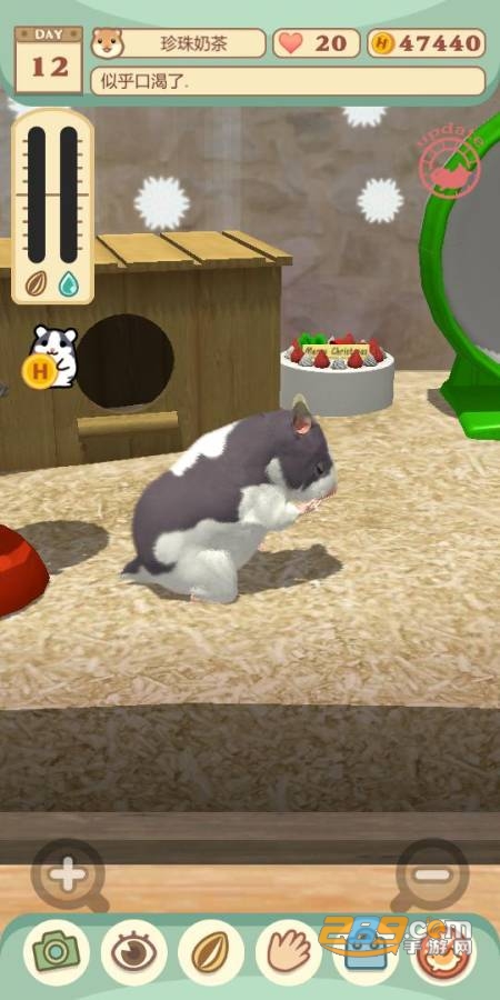 hammyhome仓鼠游戏最新版v5.0.12中文版