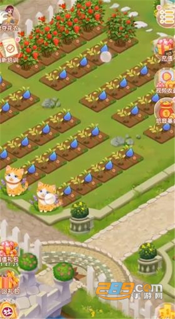 恋与花园游戏最新版v1.0.0安卓版