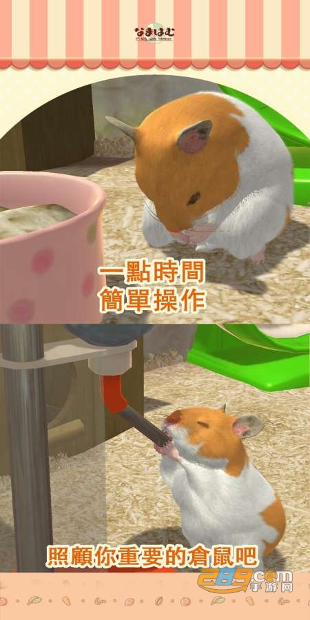 hammyhome仓鼠游戏最新版v5.0.12中文版
