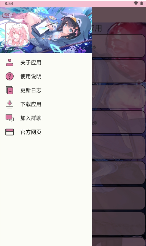 HookVip自定义版