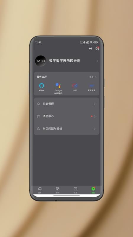 智能照明SK安卓版