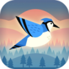 Bouncy Bird(有弹性的鸟完整版)v1.0.0