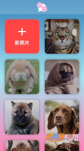 我的宠物会说话app下载中文版2023最新版