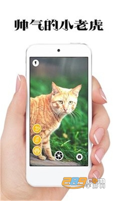猫咪相机app官方版v1.0