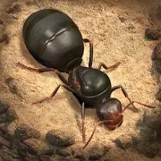 蚂蚁地下王国手机版 3.0.0免谷歌版