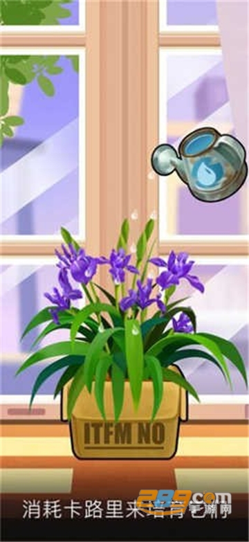 我有个花园极速版红包版v1.0.3安卓版