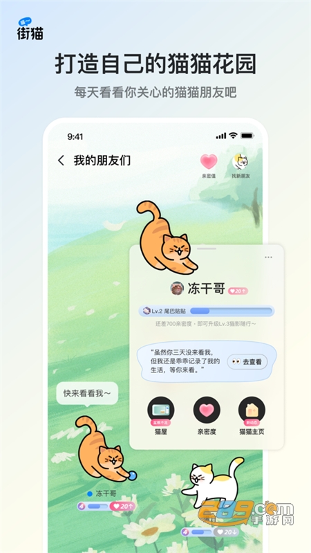 街猫app下载2024最新版本v3.6.5官方版