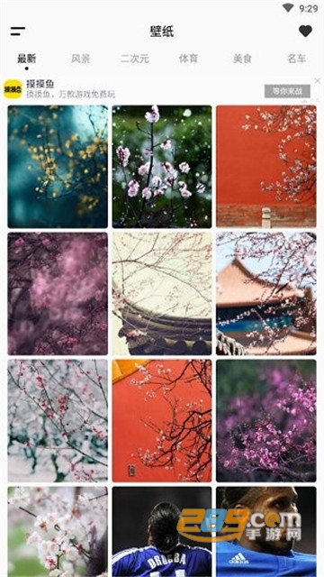 wallpaper壁纸app下载手机版2022最新版(壁纸引擎)v2.7.4中文版