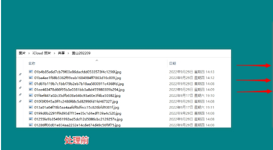 照片处理器【回忆生成器】 v1.0免费版