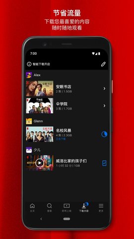 奈飞Netflix谷歌版